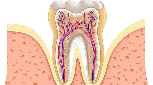 医疗牙齿卡通创意概念图背景图片