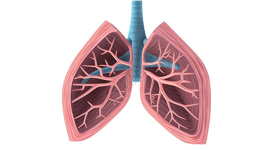 肺部内部器官创意概念插图背景图片