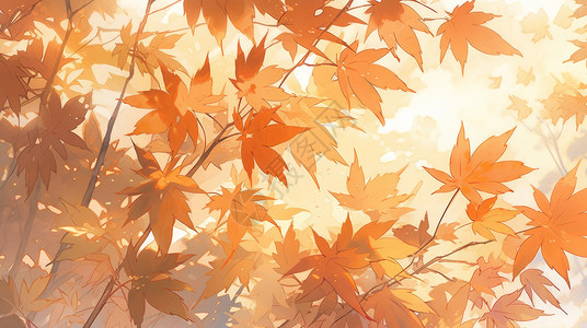 秋天漂亮的卡通枫树叶背景图片