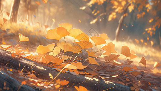 地上的银杏叶秋天漂亮的卡通银杏叶插画