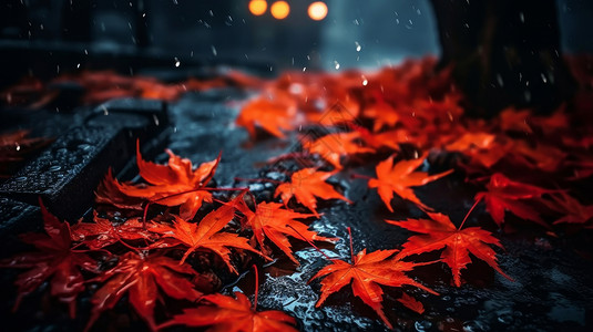 雨中落满地的红色枫叶图片