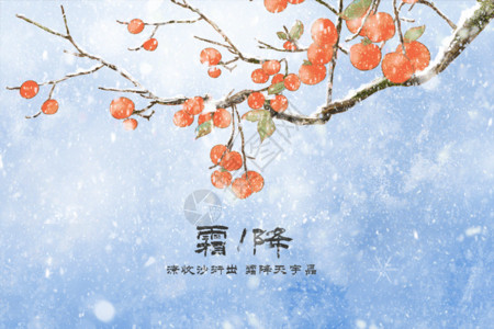 雪果实霜降插画秋天果实植物柿子二十四节气gif动图高清图片