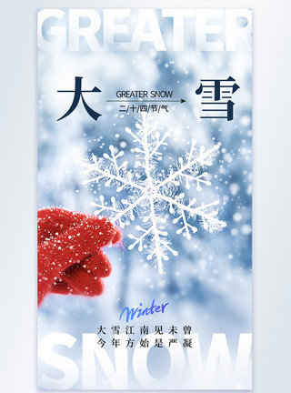 清新治愈简约清新大雪节气摄影图海报模板