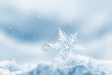 第一场雪雪景雪花创意冬天背景设计图片