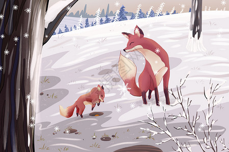 狐狸母子俩在雪地玩耍背景图片