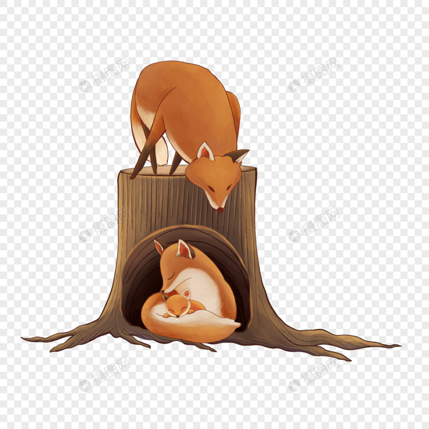 熟睡的狐狸宝宝图片