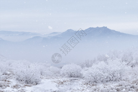 路面积雪雪山大寒海报GIF高清图片