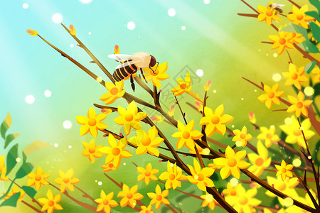 蜜蜂开始采蜜了春天植物迎春花发芽蜜蜂采蜜插画插画