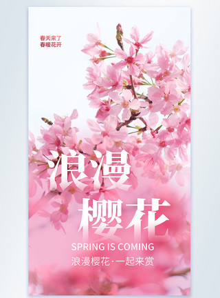 三月问好海报樱花摄影图海报模板