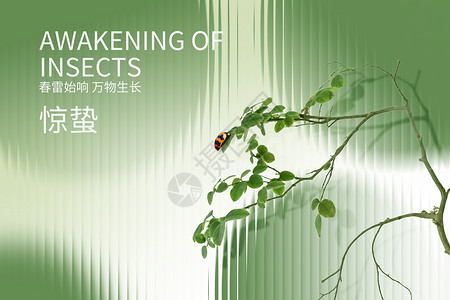 传统二十四节气惊蛰绿色玻璃质感树枝设计图片