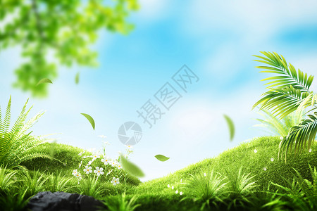 唯美草地植物春天背景背景图片