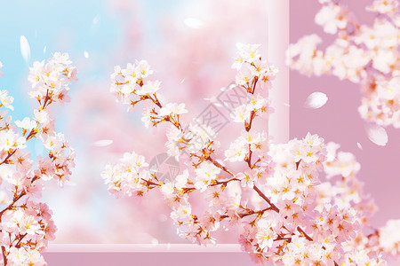 春天鲜花大气唯美窗外樱花设计图片