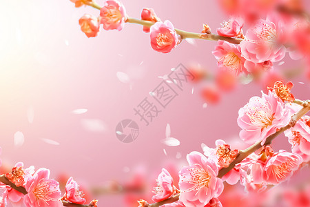 春天鲜花唯美大气创意春天樱花设计图片