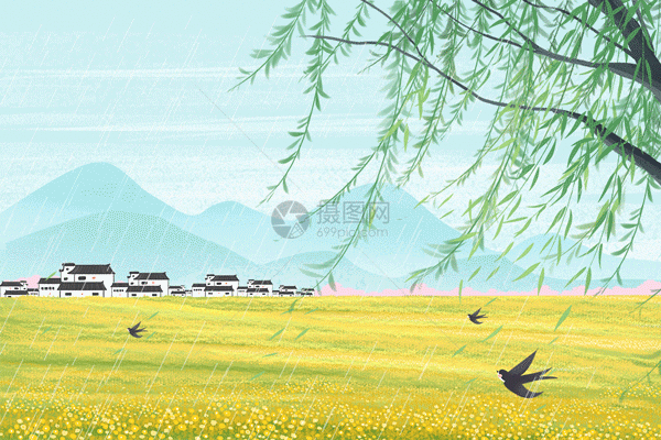 清明节春天的乡村在油菜花盛开的户外GIF图片