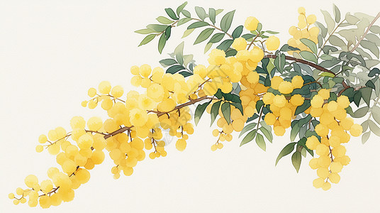 唯美树枝一株黄色盛开的卡通花朵唯美插画插画