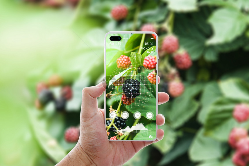 创意手机智能科技农业图片