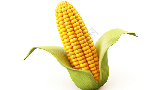 干净的米玉米图标插画