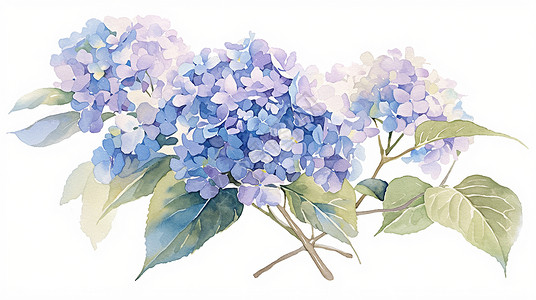 白色紫色美丽一簇盛开美丽的花朵插画