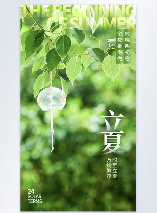树叶标识绿色清新立夏节气摄影图海报模板