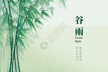 雨水24节气谷雨简洁大气创意竹子设计图片