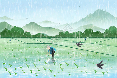 耕种的农民谷雨二十四节气田里插秧插画插画