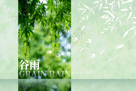 谷雨绿色创意树叶背景图片