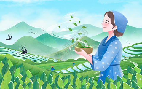 茶叶三折页谷雨春天插画茶园采茶女插画