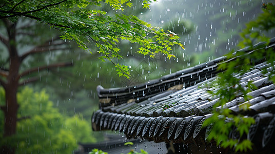 雨春天在雨中唯美的古风屋顶插画