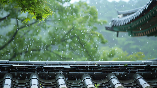 家中一角大雨中唯美的古风屋顶一角插画