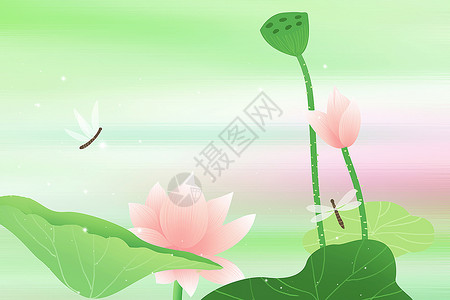 荷花和蜻蜓夏天荷花背景设计图片