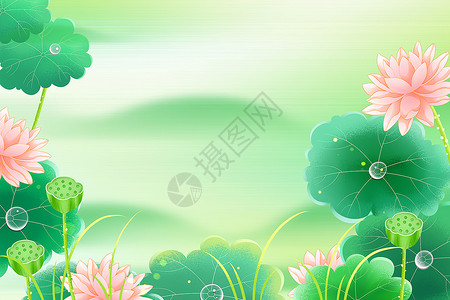 荷叶荷花和花苞夏日池塘背景设计图片