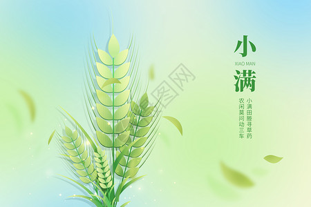 24节气宣传小满绿色创意麦穗设计图片