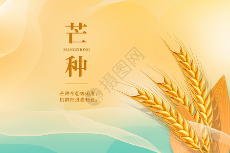 大豆小麦芒种设计图片