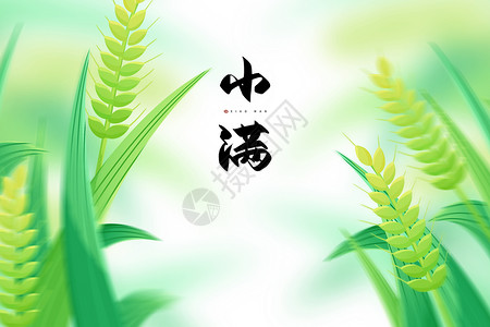 灌溉小麦小满绿色唯美创意小麦设计图片
