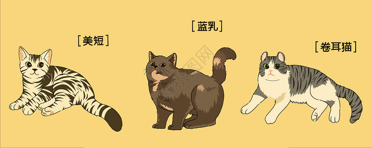 海苔卷萌宠可爱三小只猫咪插画插画