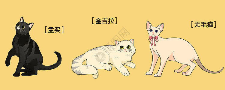 孟买猫萌宠可爱三小只猫咪插画插画
