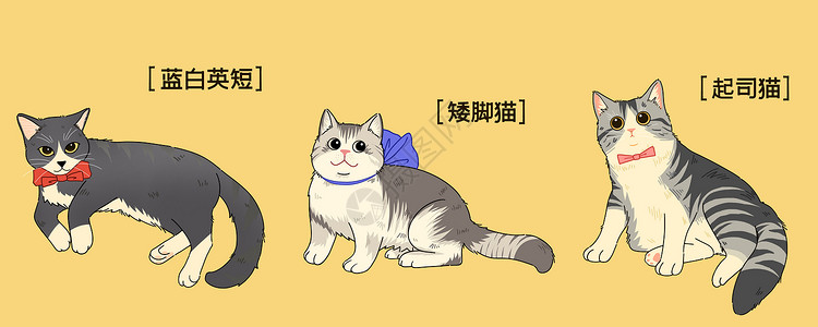 可爱的三黄猫萌宠可爱三小只猫咪插画插画