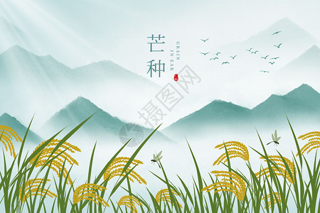 小麦水稻夏日夏天水墨风芒种小满水稻插画海报插画