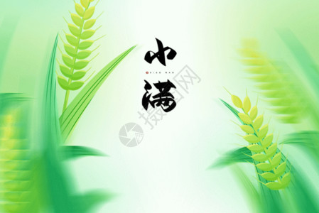 绿色小麦边框小满绿色唯美创意小麦GIF高清图片