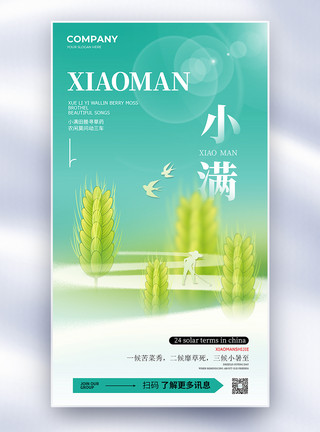 中国龙凤中国传统二十四节气小满时节全屏海报模板