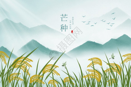 小麦水稻夏日夏天水墨风芒种小满水稻GIF高清图片