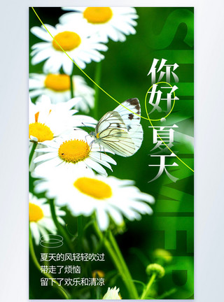 驱蚊植物绿色清新你好夏天摄影图海报模板