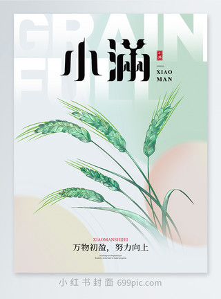 大麦子二十四节气小满小红书封面模板