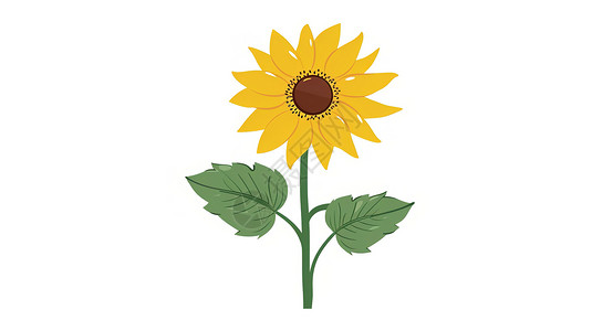 卡通植物背景向日葵简约插图插画