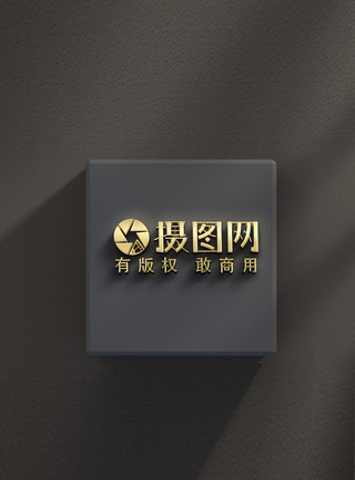 东芝标志logo品牌样机模板