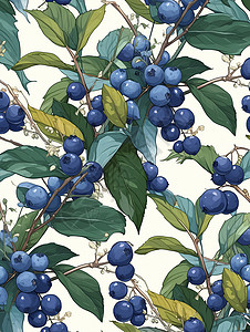 树叶贴图郁郁葱葱的上结满了蓝莓插画
