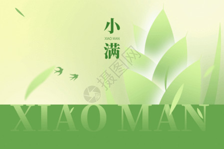 传统鬼节小满绿色创意麦穗GIF高清图片