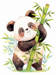 抱着竹子的可爱卡通熊猫高清图片