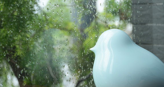 忧郁的鸟雨天玻璃窗高清图片