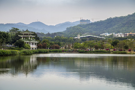 深圳的公园背景图片